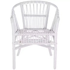 Fauteuil d'appoint en rotin Adriana - ACH6505 - Lot de 2 - Safavieh
