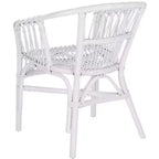 Fauteuil d'appoint en rotin Adriana - ACH6505 - Lot de 2 - Safavieh