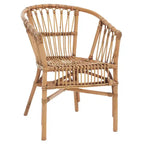 Fauteuil d'appoint en rotin Adriana - ACH6505 - Lot de 2 - Safavieh