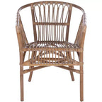 Fauteuil d'appoint en rotin Adriana - ACH6505 - Lot de 2 - Safavieh