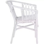 Fauteuil d'appoint en rotin Adriana - ACH6505 - Lot de 2 - Safavieh