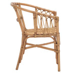 Fauteuil d'appoint en rotin Adriana - ACH6505 - Lot de 2 - Safavieh