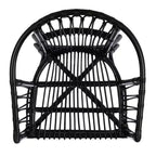 Fauteuil d'appoint en rotin Adriana - ACH6505 - Lot de 2 - Safavieh